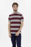Vista Frontal Camiseta Hombre Relax Pique Polo Rayas Vino Fw4 de marca Lee