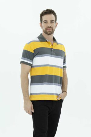 Vista frontal Camiseta regular hombre polo gris claro SS3 marca lee